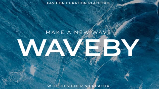 A women's apparel e-commerce integrating the use of famous influencers.